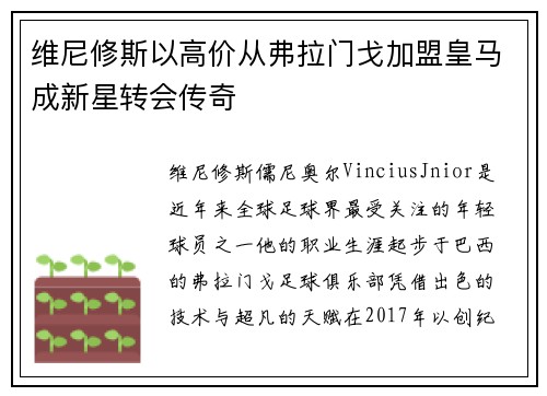 维尼修斯以高价从弗拉门戈加盟皇马成新星转会传奇